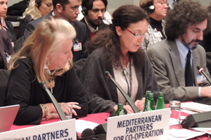 Prevention Of Violence Against Women And Children – Intervention By BPE Austria At OSCE Warsaw Meeting