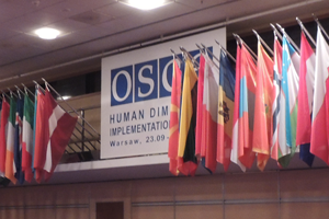 OSCE Hall 5 Feature